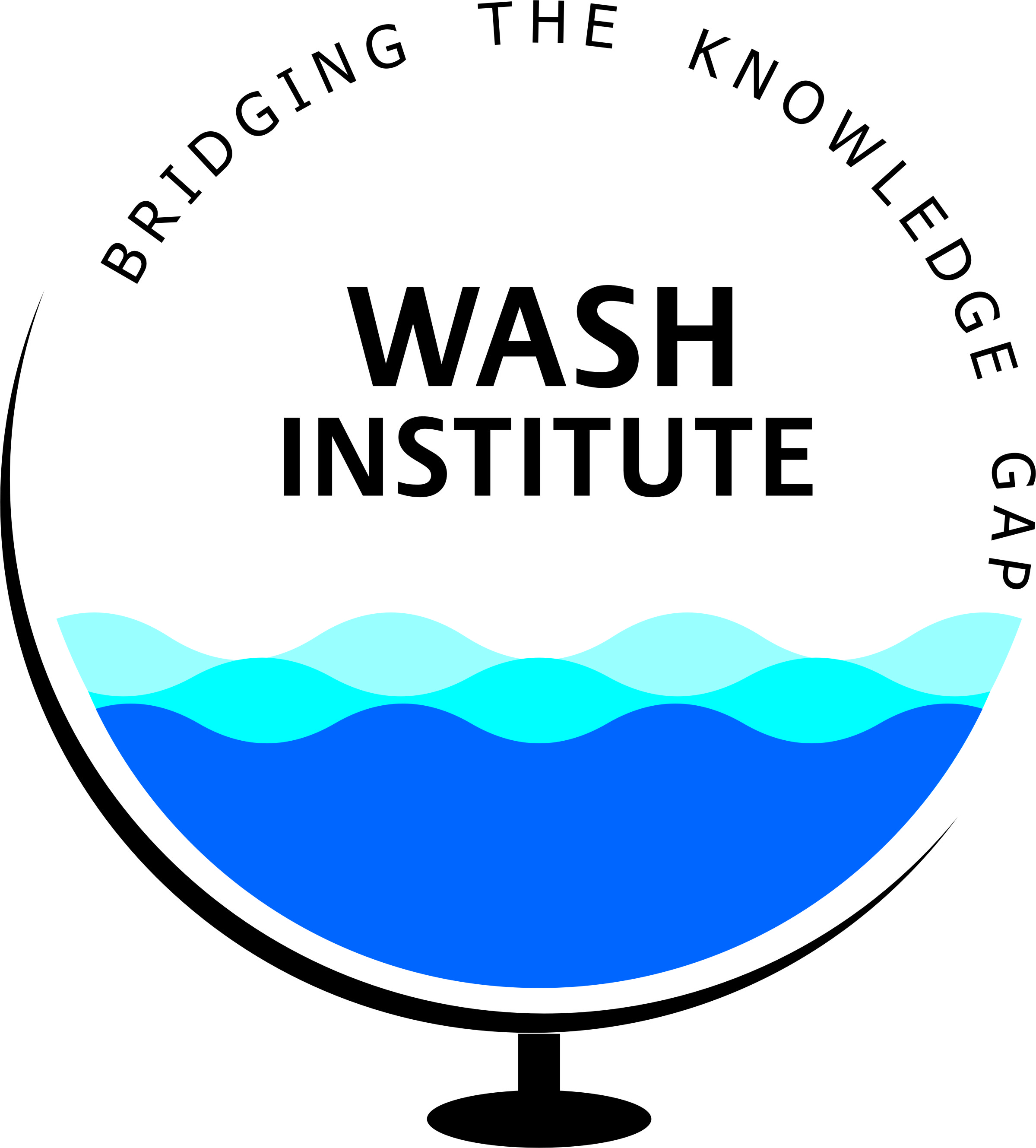 WASH Institute